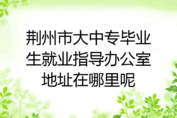 荆州市大中专毕业生就业指导办公室地址在哪里呢