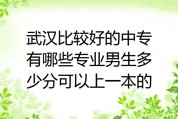 武汉比较好的中专有哪些专业男生多少分可以上一本的