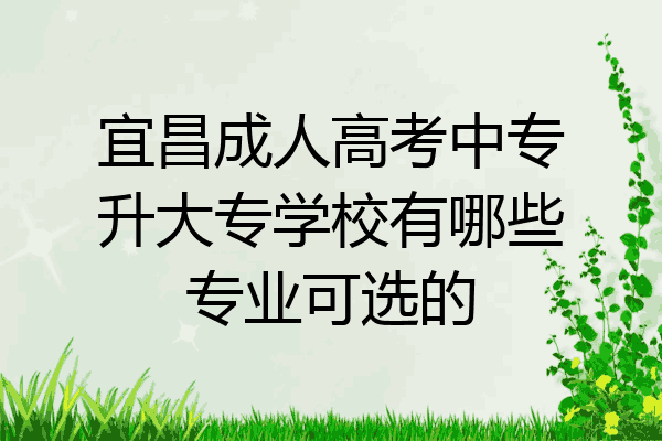 宜昌成人高考中专升大专学校有哪些专业可选的