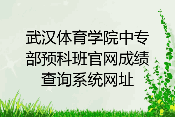 武汉体育学院中专部预科班官网成绩查询系统网址