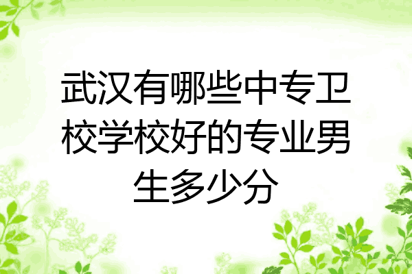 武汉有哪些中专卫校学校好的专业男生多少分