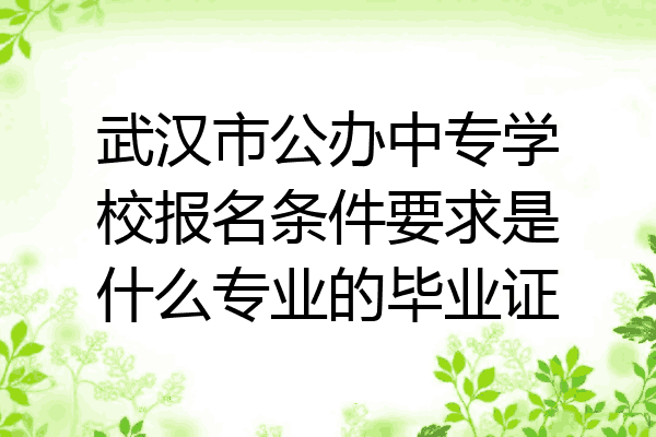 武汉市公办中专学校报名条件要求是什么专业的毕业证