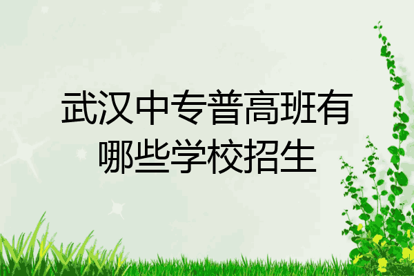 武汉中专普高班有哪些学校招生