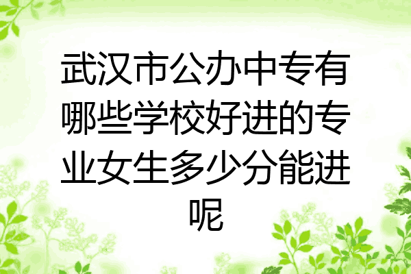武汉市公办中专有哪些学校好进的专业女生多少分能进呢