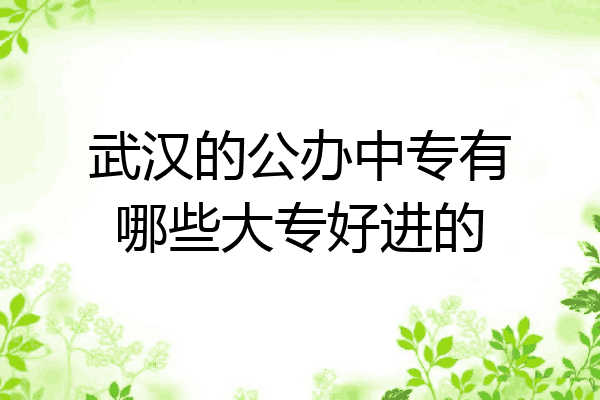 武汉的公办中专有哪些大专好进的