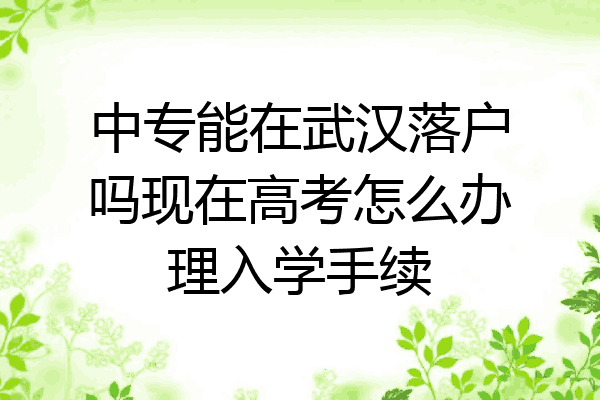 中专能在武汉落户吗现在高考怎么办理入学手续