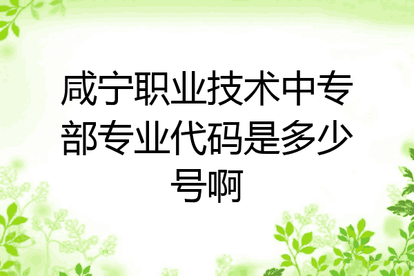 咸宁职业技术中专部专业代码是多少号啊
