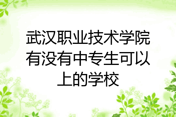 武汉职业技术学院有没有中专生可以上的学校