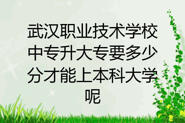武汉职业技术学校中专升大专要多少分才能上本科大学呢