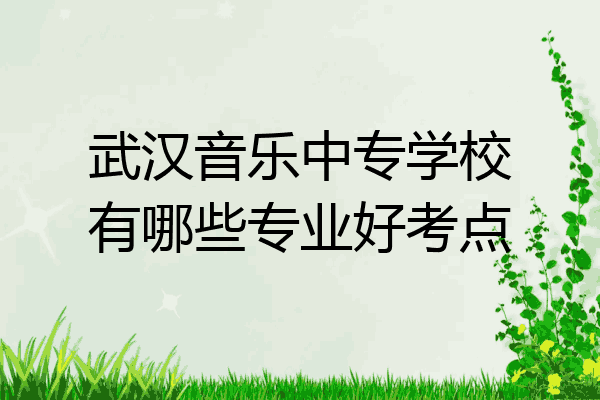 武汉音乐中专学校有哪些专业好考点