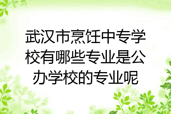 武汉市烹饪中专学校有哪些专业是公办学校的专业呢