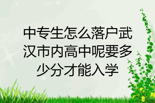 中专生怎么落户武汉市内高中呢要多少分才能入学