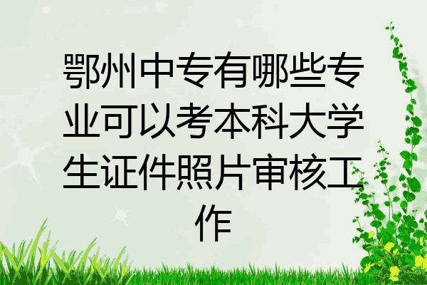 鄂州中专有哪些专业可以考本科大学生证件照片审核工作