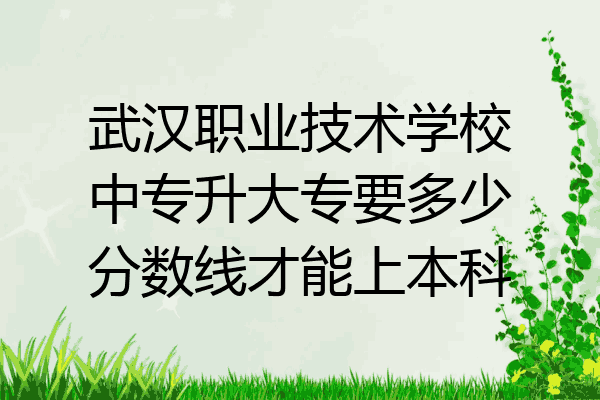 武汉职业技术学校中专升大专要多少分数线才能上本科