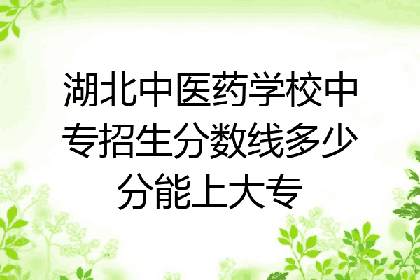 湖北中医药学校中专招生分数线多少分能上大专