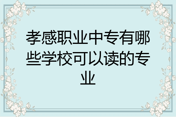 孝感职业中专有哪些学校可以读的专业