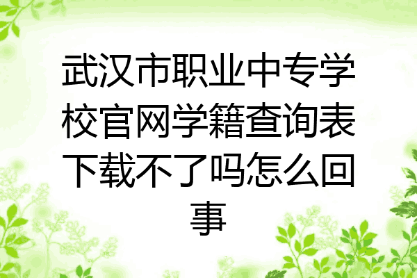 武汉市职业中专学校官网学籍查询表下载不了吗怎么回事