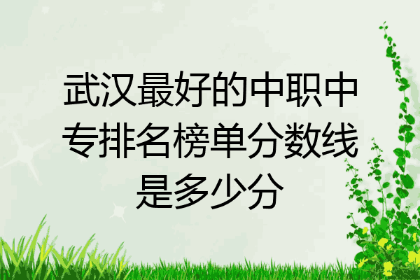 武汉最好的中职中专排名榜单分数线是多少分