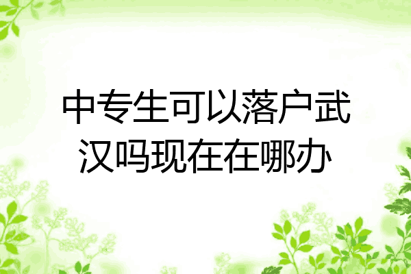 中专生可以落户武汉吗现在在哪办