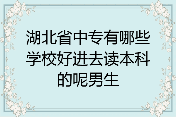 湖北省中专有哪些学校好进去读本科的呢男生