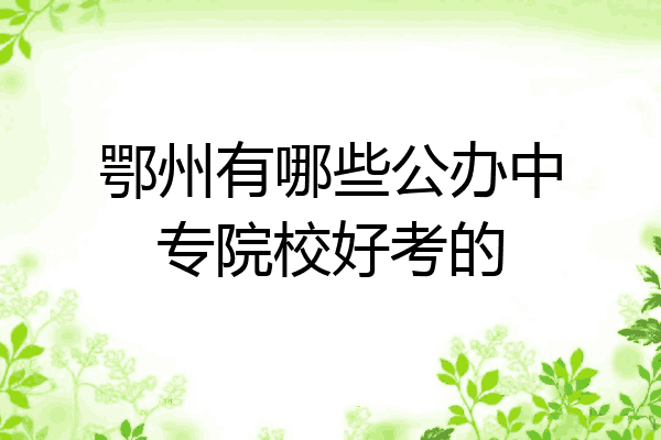 鄂州有哪些公办中专院校好考的
