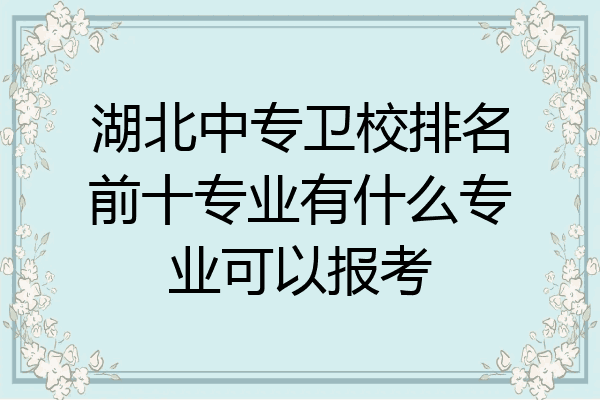 湖北中专卫校排名前十专业有什么专业可以报考