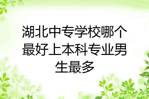 湖北中专学校哪个最好上本科专业男生最多