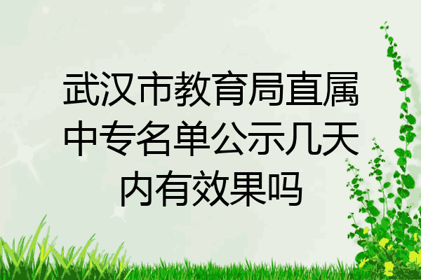 武汉市教育局直属中专名单公示几天内有效果吗