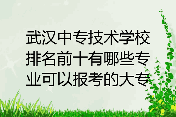 武汉中专技术学校排名前十有哪些专业可以报考的大专