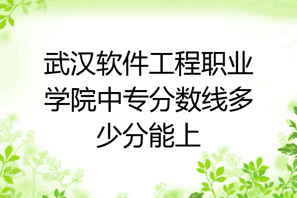 武汉软件工程职业学院中专分数线多少分能上