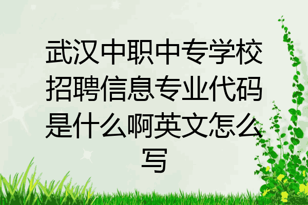武汉中职中专学校招聘信息专业代码是什么啊英文怎么写