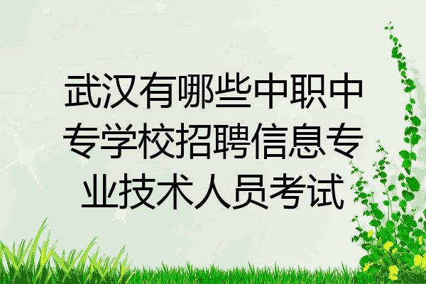 武汉有哪些中职中专学校招聘信息专业技术人员考试