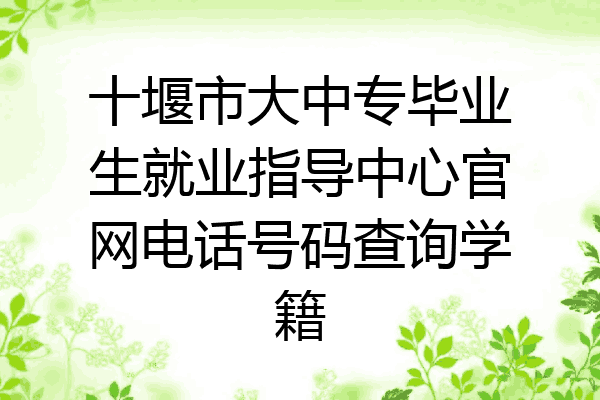 十堰市大中专毕业生就业指导中心官网电话号码查询学籍