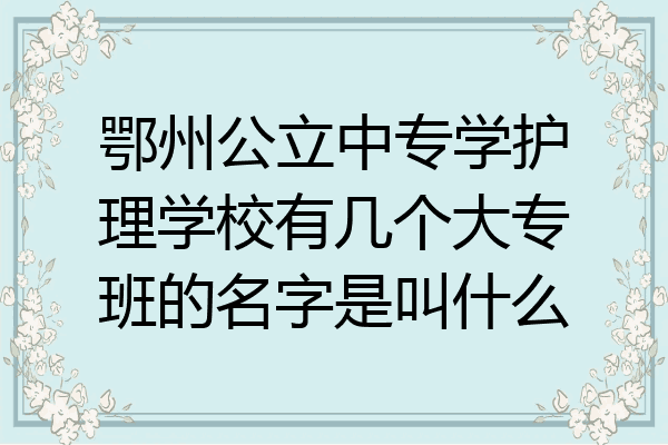 鄂州公立中专学护理学校有几个大专班的名字是叫什么