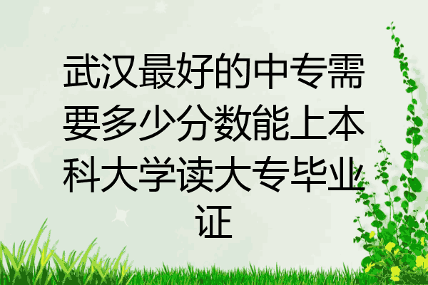 武汉最好的中专需要多少分数能上本科大学读大专毕业证
