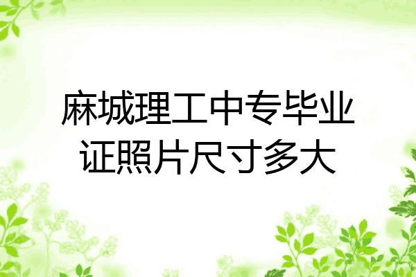 麻城理工中专毕业证照片尺寸多大