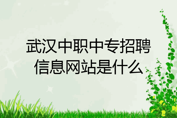 武汉中职中专招聘信息网站是什么