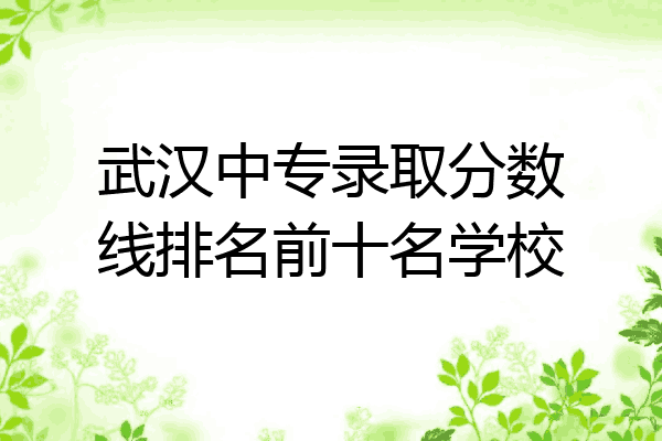 武汉中专录取分数线排名前十名学校