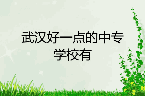 武汉好一点的中专学校有