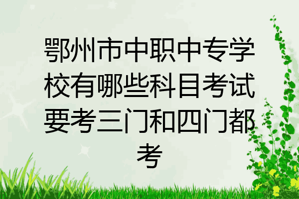 鄂州市中职中专学校有哪些科目考试要考三门和四门都考