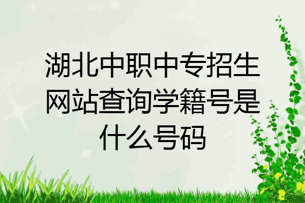 湖北中职中专招生网站查询学籍号是什么号码