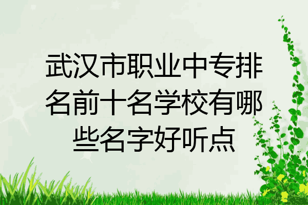 武汉市职业中专排名前十名学校有哪些名字好听点