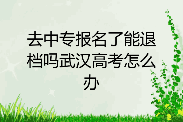 去中专报名了能退档吗武汉高考怎么办