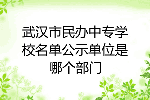 武汉市民办中专学校名单公示单位是哪个部门