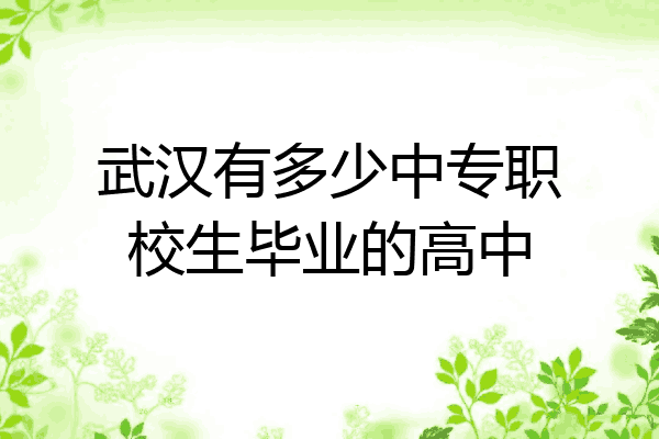 武汉有多少中专职校生毕业的高中