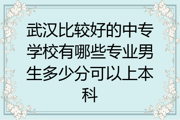 武汉比较好的中专学校有哪些专业男生多少分可以上本科