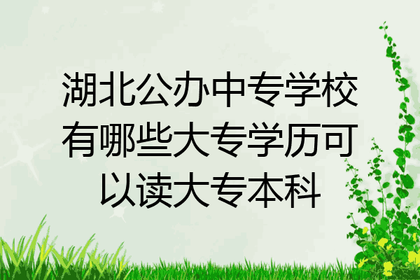 湖北公办中专学校有哪些大专学历可以读大专本科