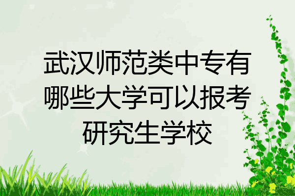 武汉师范类中专有哪些大学可以报考研究生学校