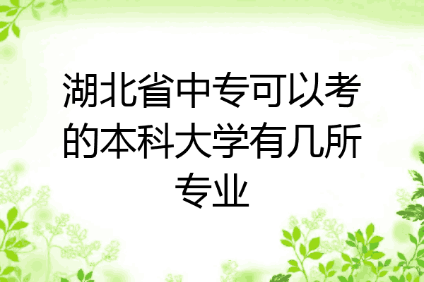 湖北省中专可以考的本科大学有几所专业