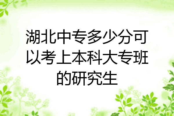 湖北中专多少分可以考上本科大专班的研究生
